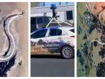 kerangka-mirip-ular-raksasa-tertangka-google-maps.jpg