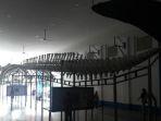 kerangka-paus-biru-di-museum-zoologi-bogor.jpg