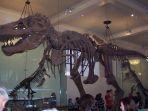 kerangka-t-rex.jpg