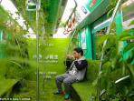 Unik! Kereta Api Bawah Tanah Ini Didesain Mirip Hutan, Lengkap dengan Rumput dan Tumbuhan Menjalar