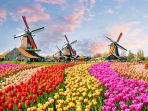 keukenhof_20180223_091028.jpg