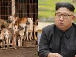 kim-jong-un_20180215_075834.jpg