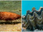 kima-dan-sotong_20180423_152016.jpg