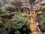 kinabalu_20170219_114511.jpg
