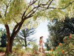 kings-park-dan-botanical-garden_20180719_153213.jpg