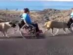 Menyentuh! Anjing Ini Tunjukan Kesetiaan pada Majikannya yang Terduduk di Kursi Roda