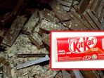 kit-kat_20170116_205518.jpg