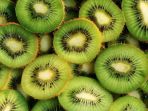 kiwi_20180913_090019.jpg