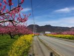 kofubonchi_20180413_101958.jpg