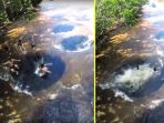 kolam-renang-alami-di-sungai-amazon_20180327_201716.jpg