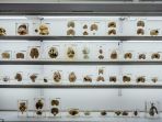 koleksi-di-museum-otak-di-bangalore-india_20181011_153120.jpg