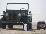 koleksi-mobil-sheikh-hamed_20180119_152842.jpg