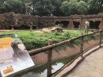 komodo-island-di-solo-safari.jpg