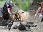 komodo_20170504_083612.jpg