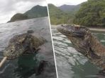 komodo_20180912_200402.jpg