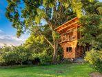 konas-1st-luxury-1-br1b-treehouse-w-ocean-view.jpg