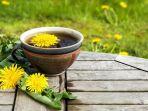 kopi-akar-dandelion-yang-rendah-kafein.jpg