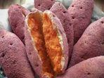 korean-sweet-potato-mochi.jpg