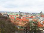 kota-krakow_20161219_212624.jpg