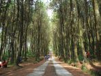 kragilan_20170429_205251.jpg
