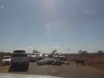 kruger-park_20161108_220636.jpg