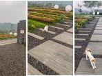 kucing-di-makam-eril.jpg