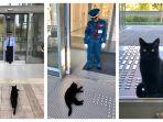kucing.jpg