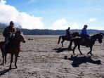 kuda_20170303_125621.jpg