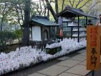 kuil-gotokuji_20180828_110030.jpg