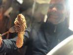 kuliner-ekstrem-di-turki-yang-bernama-sirdan.jpg