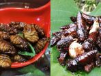 kuliner-serangga-terekstrim-di-dunia_20181102_160101.jpg