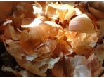 kulit-bawang-bombay_20170402_200116.jpg