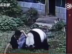 kung-fu-panda_20161101_091929.jpg