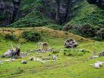 kuola-ranch.jpg