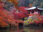 kyoto_20161206_114608.jpg