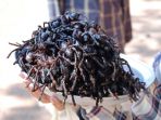 laba-goreng_20170611_194102.jpg