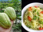 labu-siam-dan-olahannya.jpg