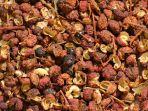 lada-sichuan-zanthoxylum-termasuk-sekam-pedas-serta-batang-dan-bijinya.jpg