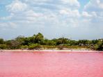 laguna-pink-mexico_20160813_174410.jpg