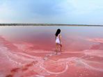 lake-hillier-australia_20180325_114204.jpg