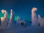 lapland-finlandia_20161214_174818.jpg