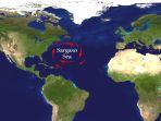 laut-sargasso-selasa-24122019.jpg