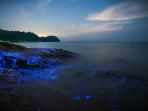 laut-seto-inland_20160827_213457.jpg