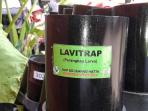 lavitrap_20160916_154736.jpg