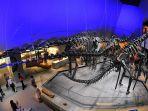 lee-kong-chian-natural-history-museum-singapura.jpg