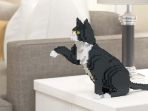 lego-berbentuk-kucing_20170615_142225.jpg