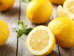 lemon_20170415_085718.jpg