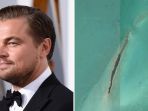 leonardo-dicaprio_20180119_174640.jpg