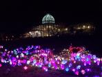 lewis-ginter-botanical-garden_20161208_125527.jpg