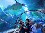 liburan-di-seaworld-ancol.jpg